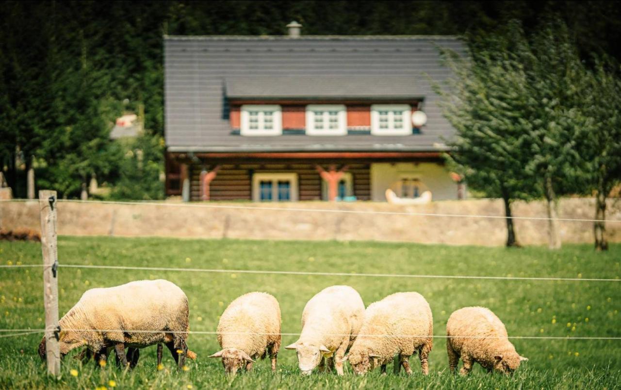 Vila Roubenka Ondrejnik Kunčice pod Ondřejníkem Exteriér fotografie